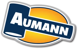 Aumann Auctions