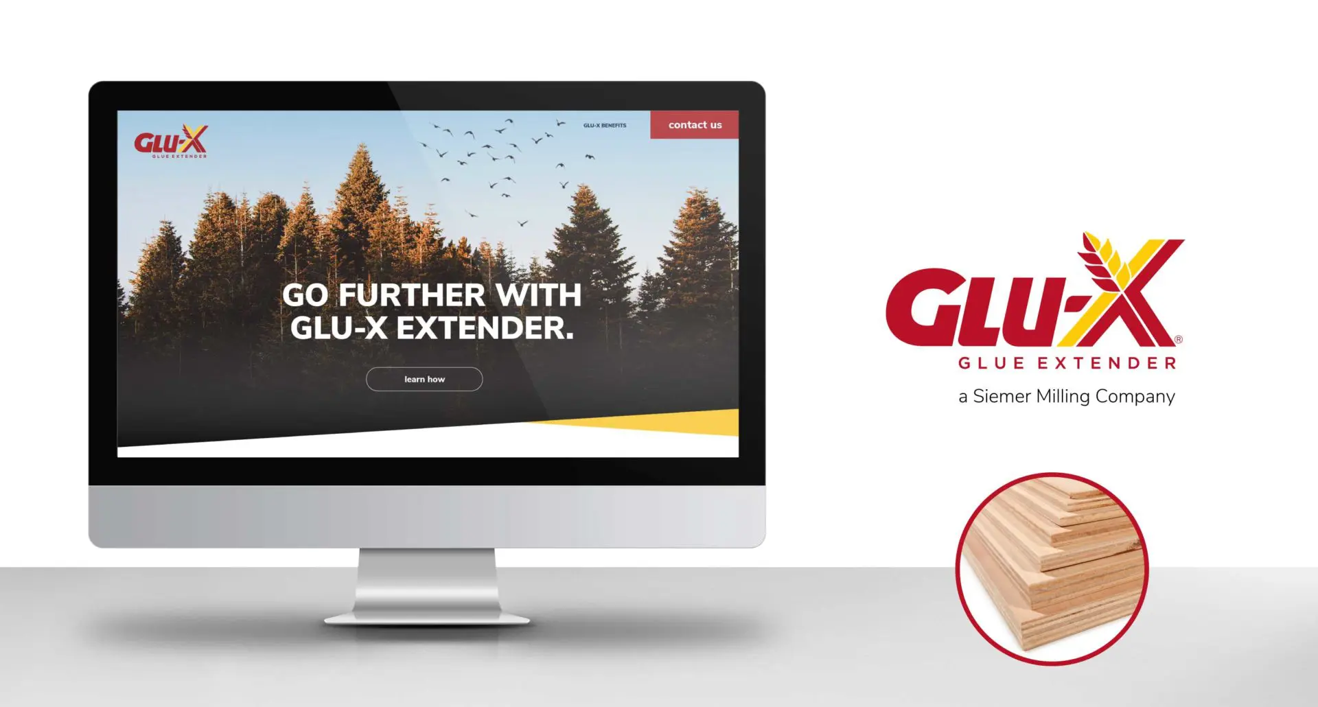 A computer screen displays a website for "Glu-X Extender," showing an image of a forest with the text "Go Further with Glu-X Extender." To the right, the Glu-X logo and a pile of wooden planks inside a circle are visible.